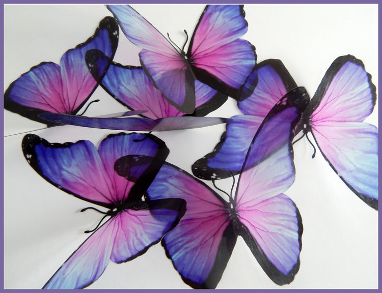 Purple Very pretty butterflies