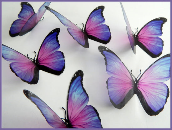 pink and purple butterflies by flutterframes