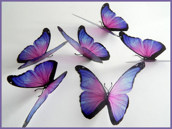 Lilac Very pretty butterflies