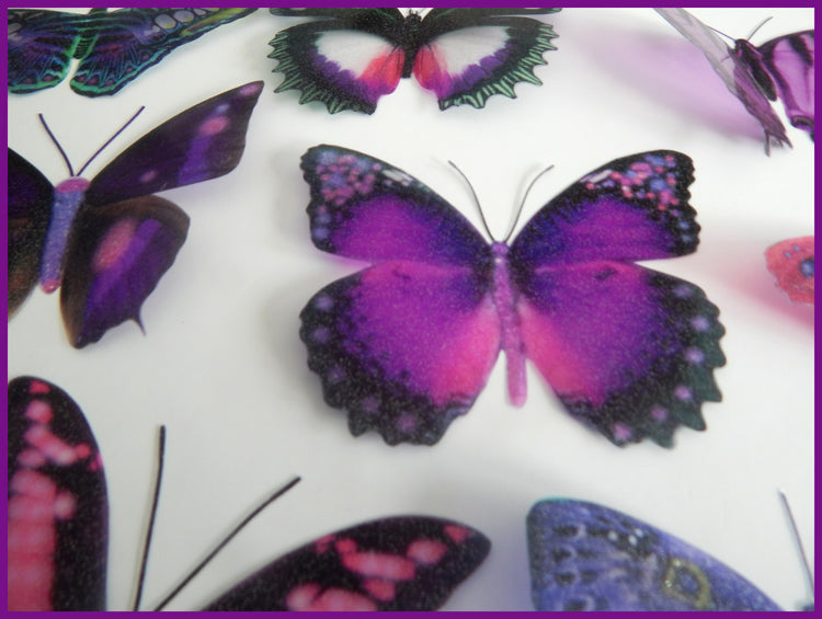 purple fantasy butterfly wall stickers