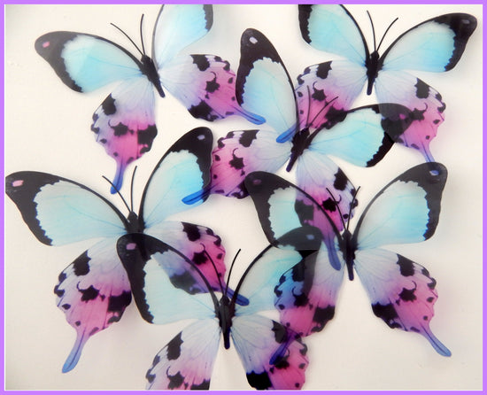 Mariposa Colorida butterfly sticker