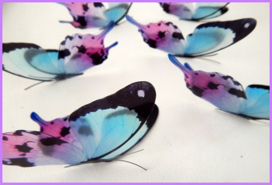 Mariposa Colorida butterfly decor