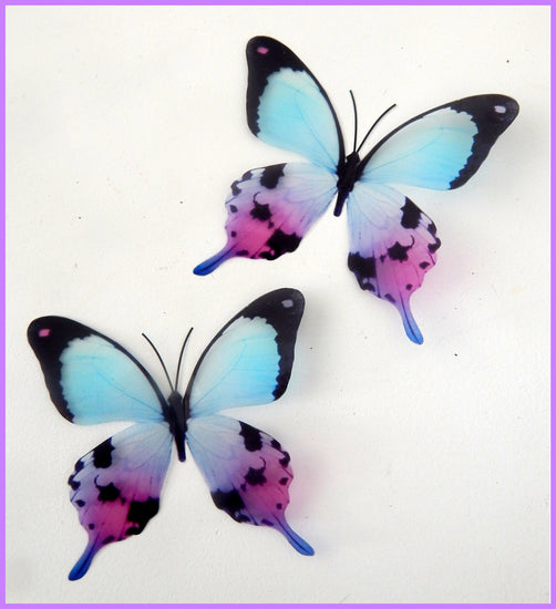 lilac and blue pretty butterfly