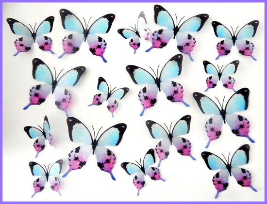 Mariposa Colorida