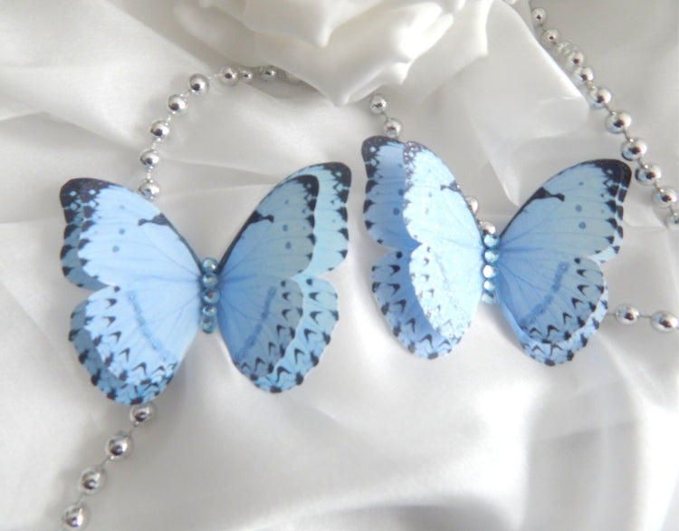 beautiful blue butterflies