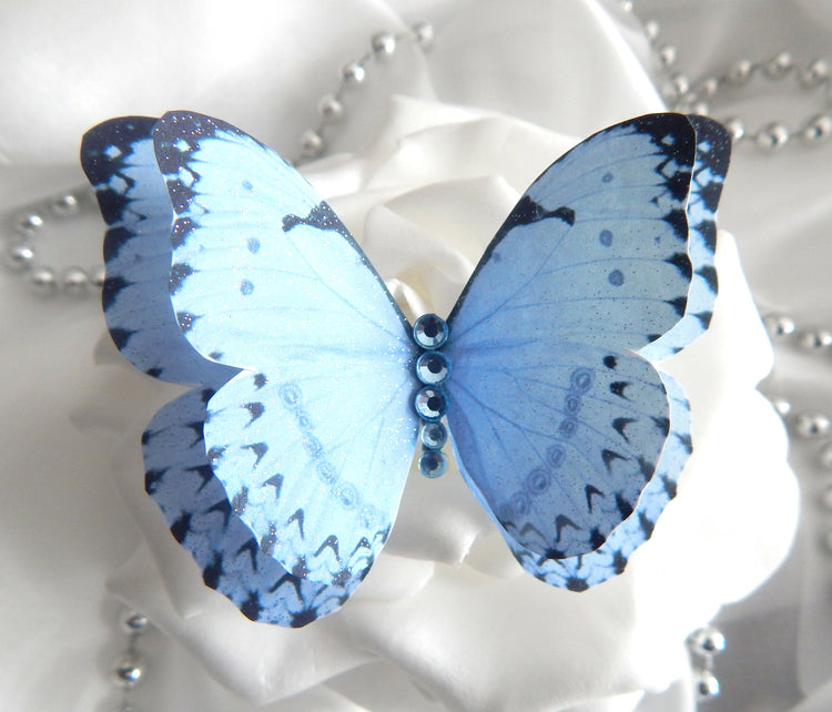 pretty blue butterfly embellishments