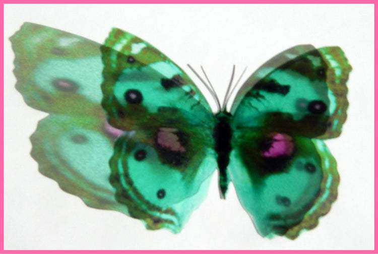 Green butterfly natural by flutterframes