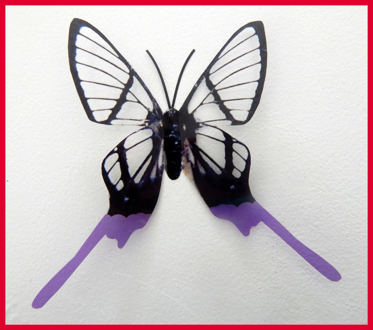 Multi-coloured Swallowtail butterflies, 3d butterflies, wall decor, bespoke butterfly wall stickers ,natural critters, conservatory,lounge