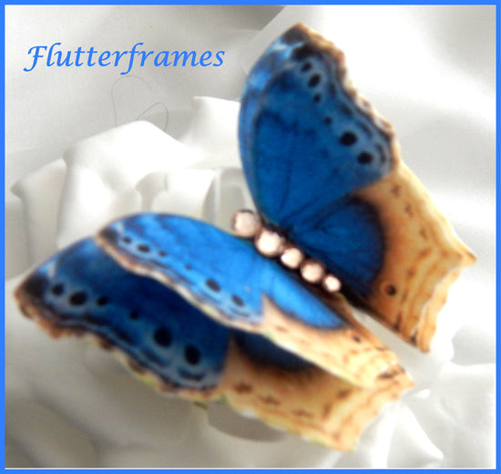 blue and beige silk butterfly hair 