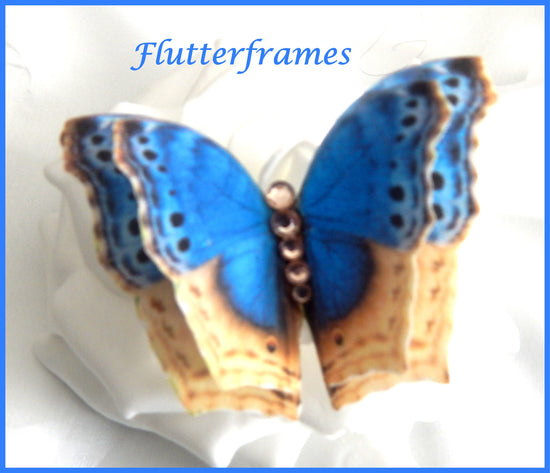 Blue silk butterfly