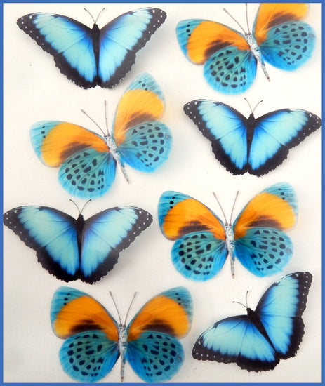butterflies home decor