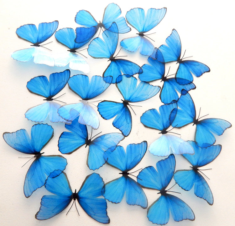 Beautiful 3D Blue Butterflies, set of 18, 7cm wide. Embellishments, card making,wall decor,decorative butterflies,wedding decor,conservatory