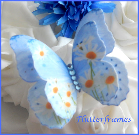 Silk daisy butterflies
