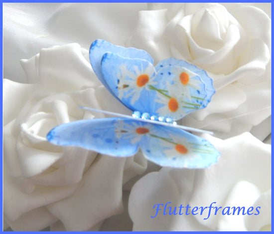Blue Silk daisy butterflies