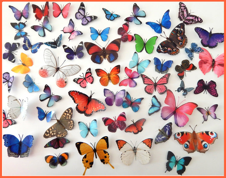 miniature butterflies for crafts by flutterframes