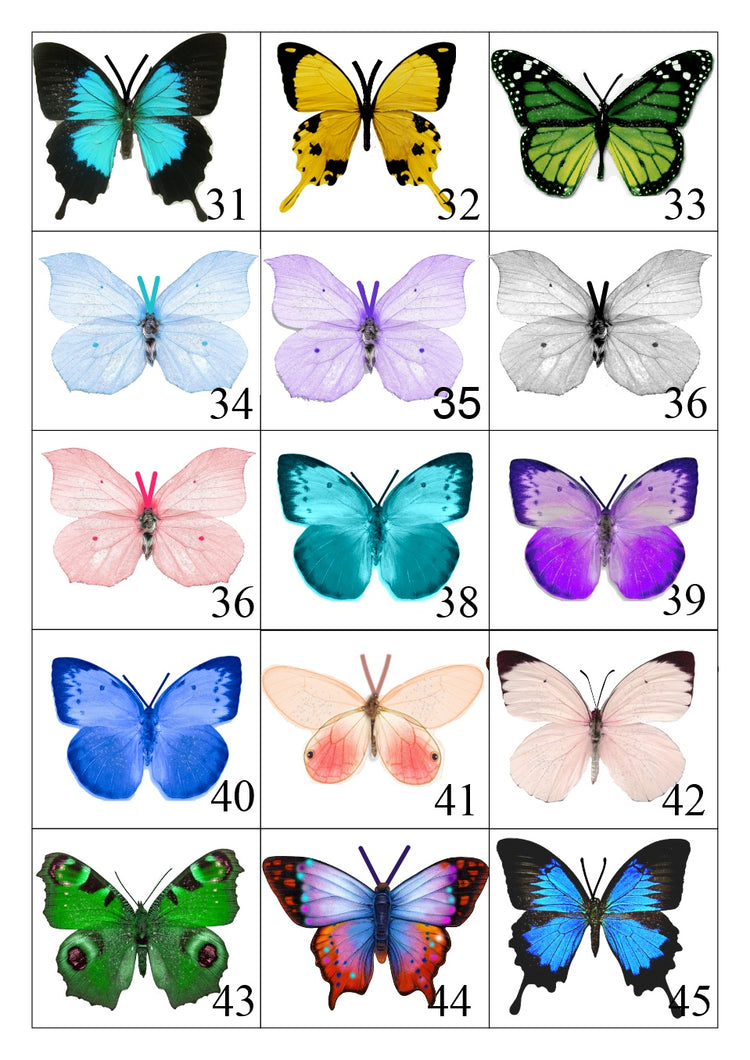 Miniature Butterflies for craft projects,decoration,embellishments,butterfly 3d stickers,miniature,dolls house,scrapbooking,tiny butterflies