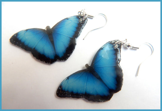 blue Morpho resin butterfly earrings