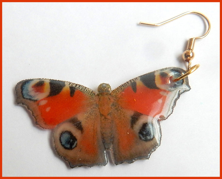 natural Red Admiral resin butterfly earrings