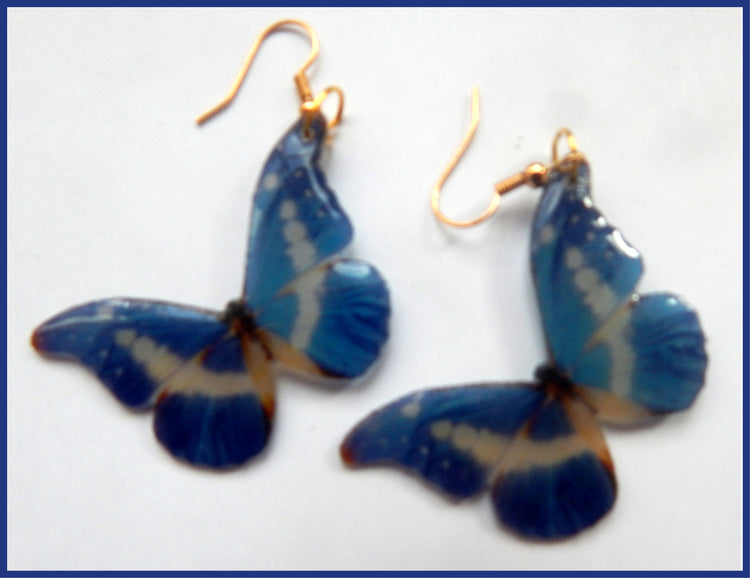 Quirky earrings. Butterfly earrings. Resin butterfly earrings, looks like a real butterfly. Dangle butterfly earrings. Butterfly jewellery.