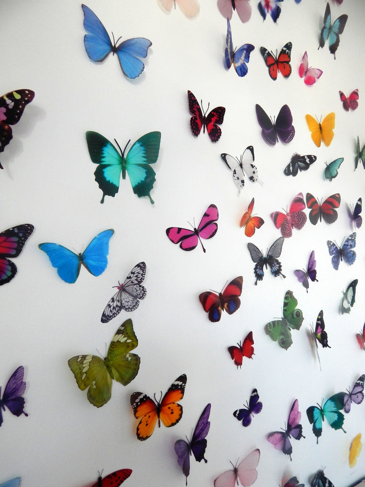 Set of 50 butterfly wall stickers. Similar to Escape to the Chateau