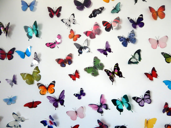 Escape to the Chateau butterflies