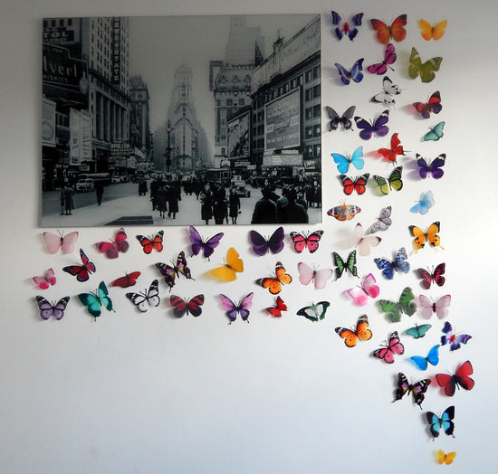 Escape to the Chateau butterflies