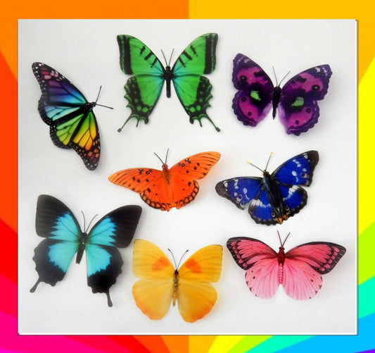 bright butterflies