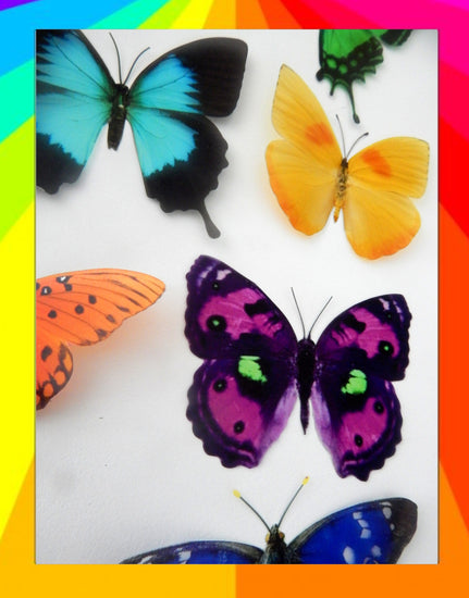 colourful butterfly wall stickers