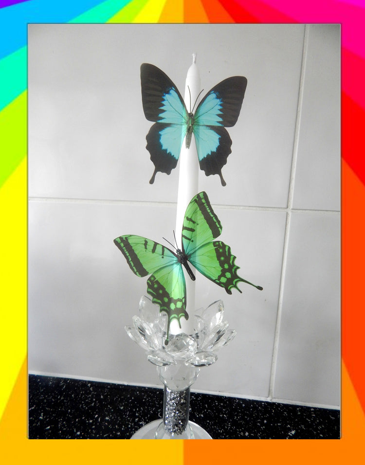 8 Bright, colourful butterflies from our Colourful collection. 3d Butterfly stickers. Great for conservatories ,bedrooms