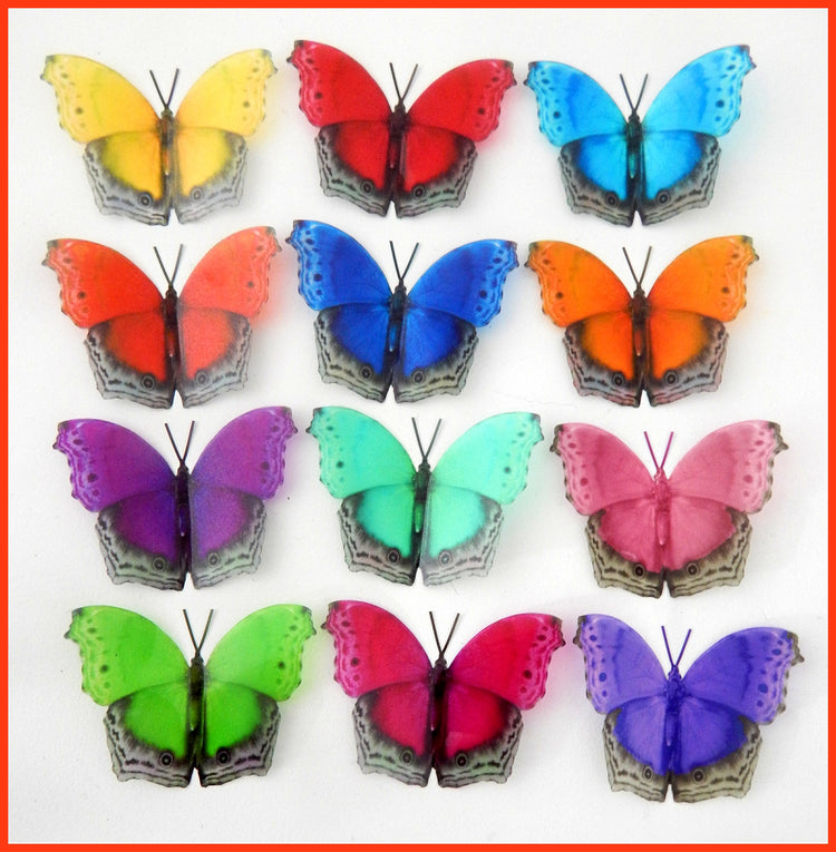 multi colored butterflies