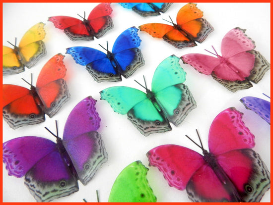 multi colored butterflies decor
