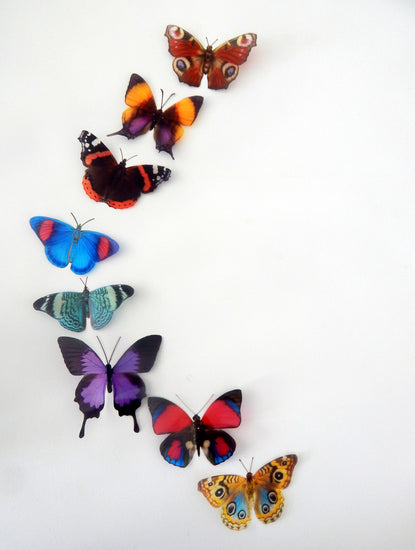 faux realistic butterflies flutterframes