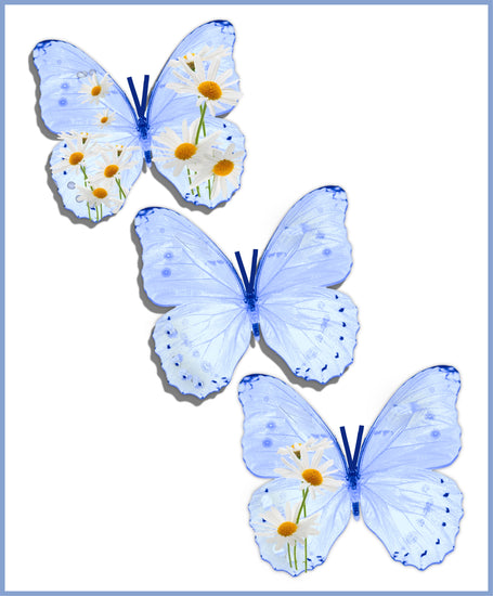 Corn flower blue Daisy wall stickers by flutterframes