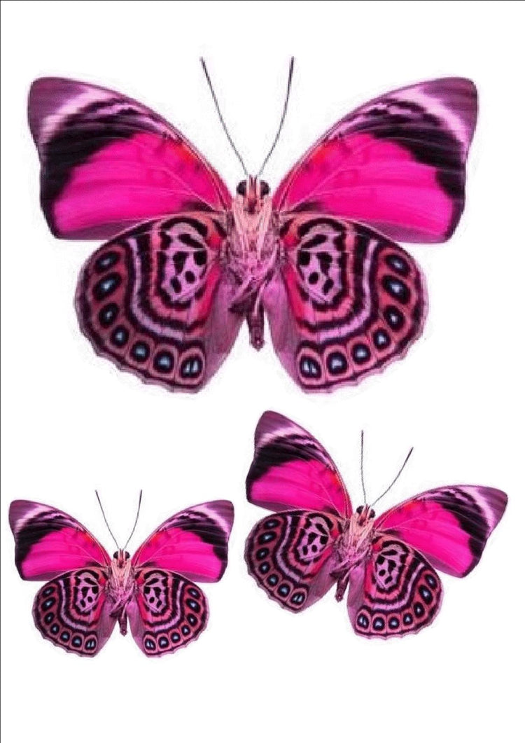 Exotic pink butterfly sticker