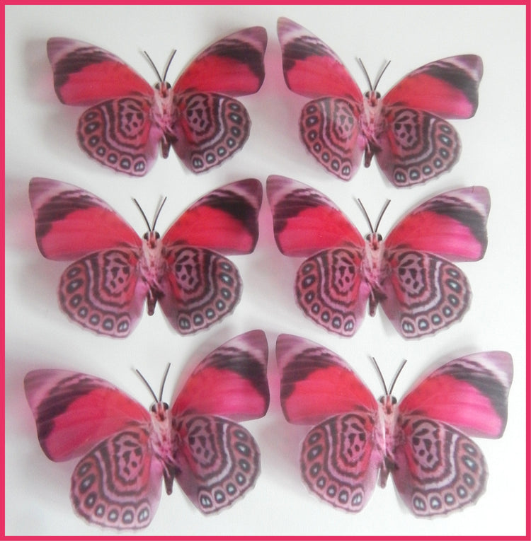 Exotic pink butterfly wall art