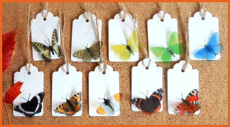 Butterfly gift tags. 10 British natural butterfly gift tags, set of gift tags from the British butterflies collection. Handmade rustic