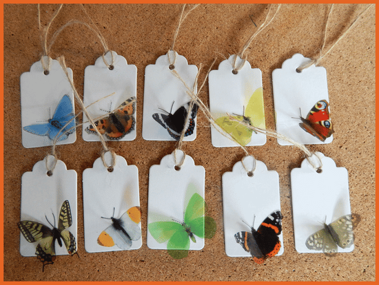 Natural British Butterfly gift tags