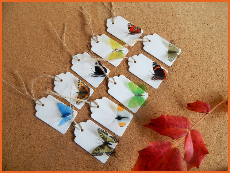 Natural British Butterfly collection of gift tags