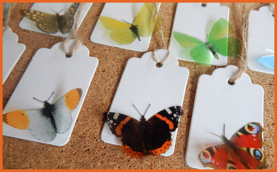 Natural British Butterfly gift tags