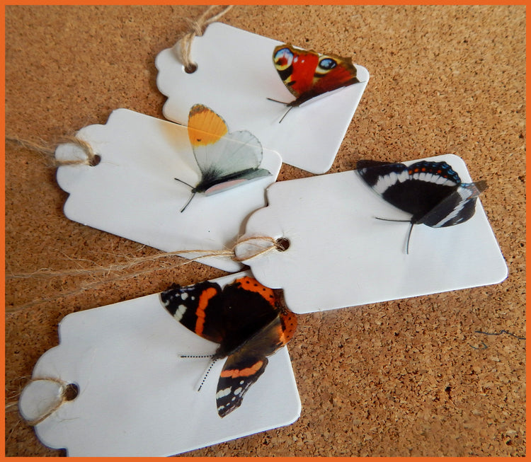  Butterfly gift tags