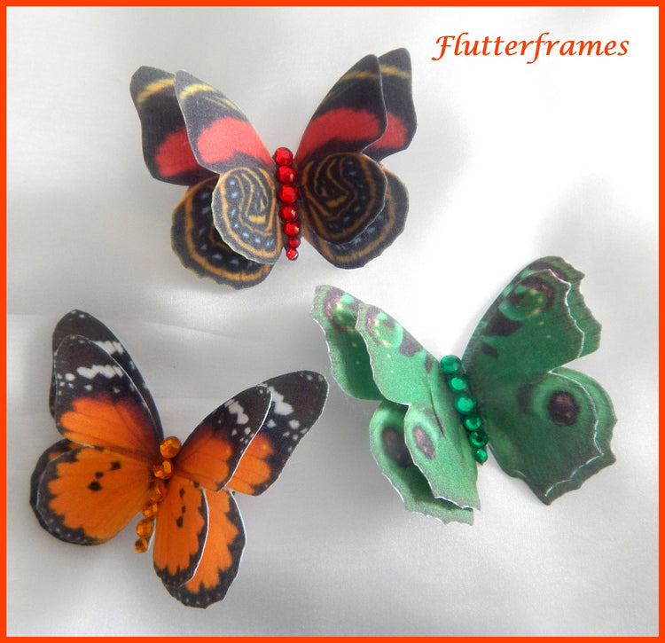natural butterfly hair clips
