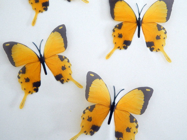 pretty yellow natural butterfly sticker