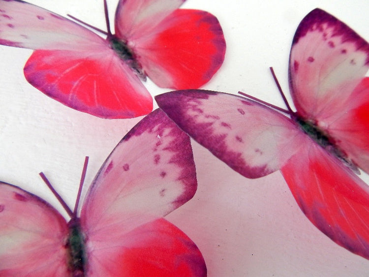 pink wall stickers butterflies
