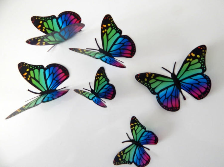 Rainbow butterflies gay festival