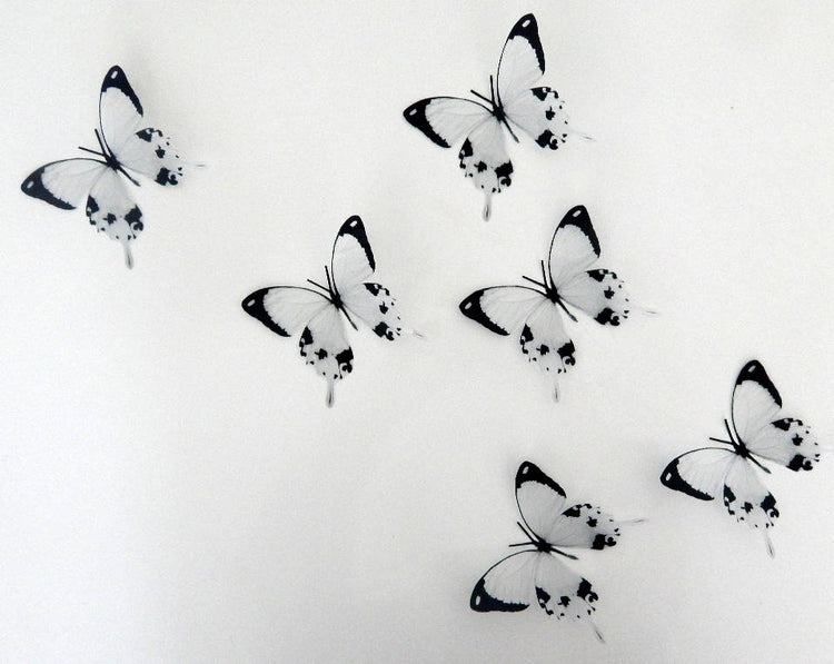 3D black and white butterflies stickers,wall art in flight flying butterflies,wall nature decor,decorative butterflies,stunning  butterflies