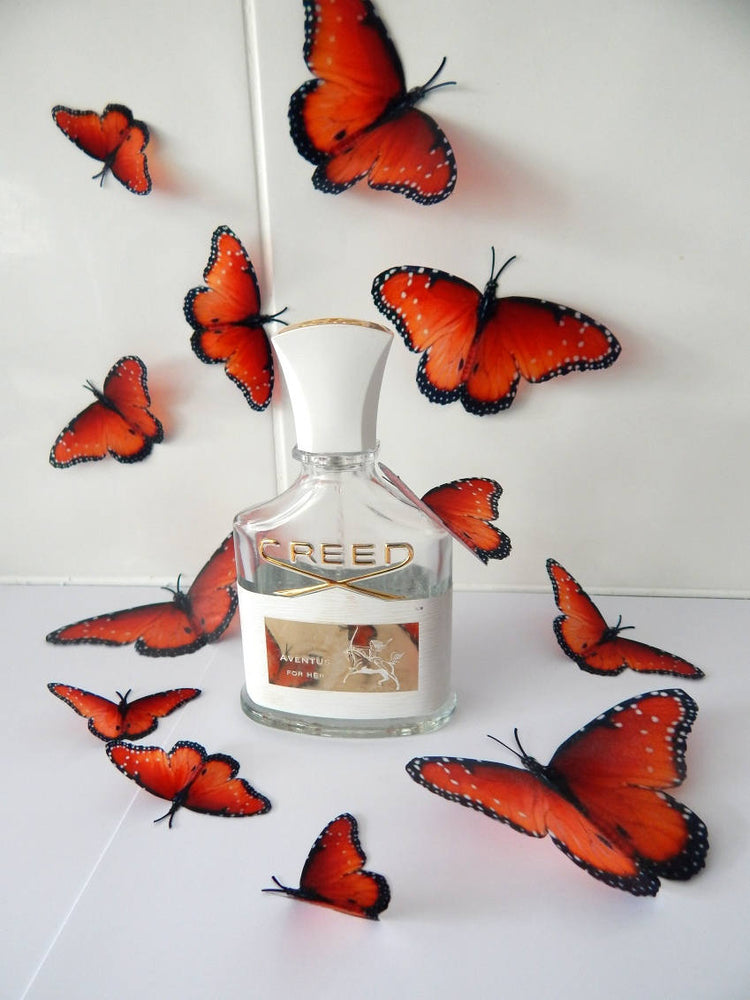 orange butterfly by flutterframes