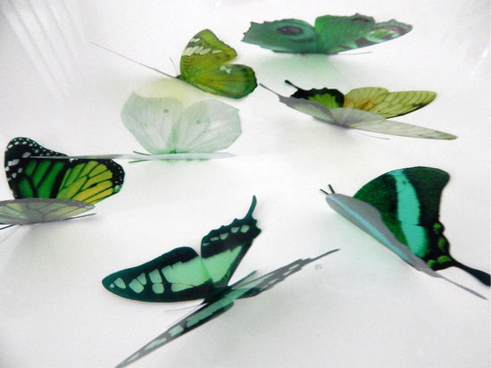 Green collection of natural butterflies