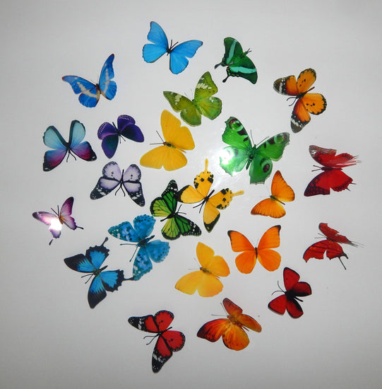 Rainbow collection of butterflies