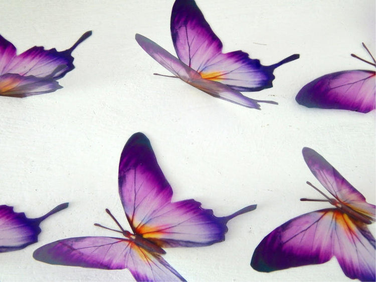 Designer purple and yellow butterflies, stunning,wall decor, luxury wall art,conservatory,,original reproduction