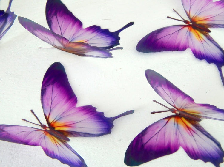 Designer purple and yellow butterflies, stunning,wall decor, luxury wall art,conservatory,,original reproduction